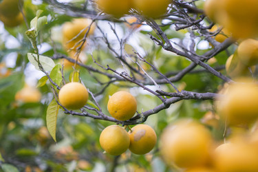 Similar image 21434578