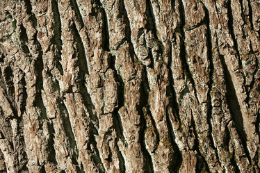 Similar image 21434579