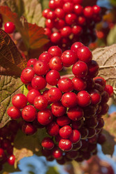 Similar image 21434580