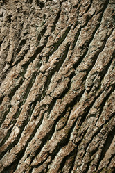 Similar image 21434581