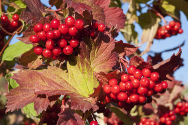 Similar image 21434584