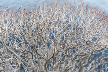 Similar image 21434585