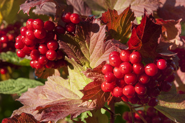 Similar image 21434586