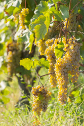 Similar image 21434587