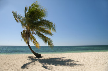 Similar image 21434589