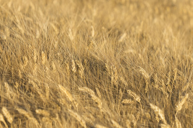 Similar image 21434590