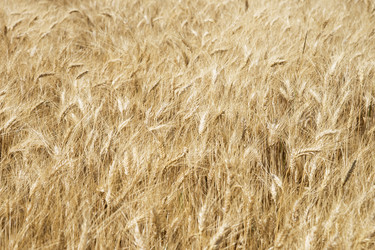 Similar image 21434591