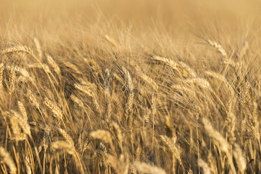 Similar image 21434592