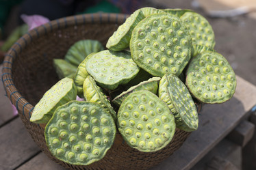 Similar image 21434593