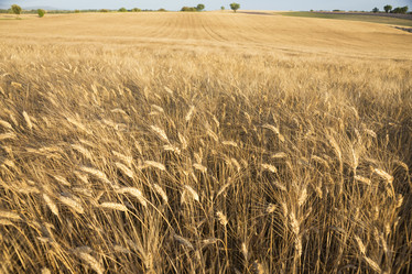 Similar image 21434594