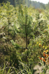 Similar image 21434595