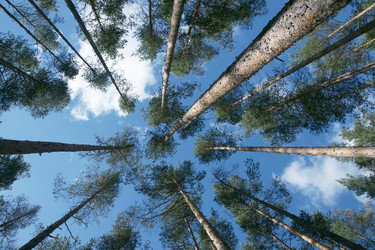 Similar image 21434599