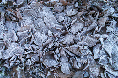 Similar image 21434601