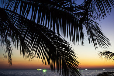 Similar image 21434602