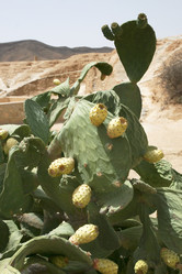 Similar image 21434603