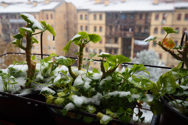 Similar image 21435398