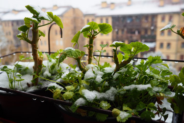 Similar image 21435400