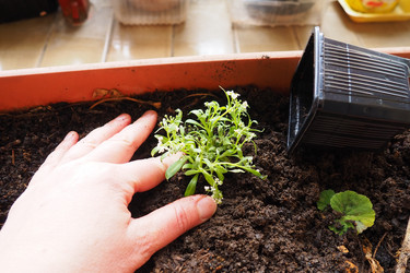 Similar image 21435402