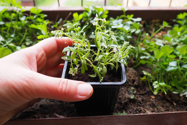 Similar image 21435406