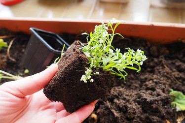 Similar image 21435412