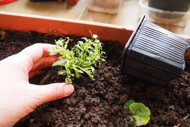 Similar image 21435413