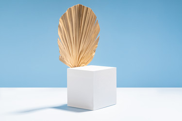 Similar image 21433620