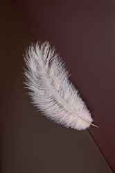 Similar image 21433627