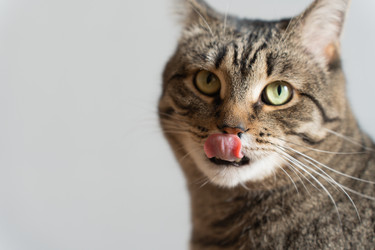 Similar image 21433891