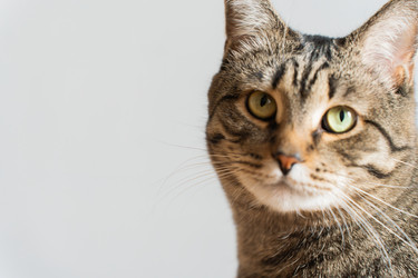 Similar image 21433892