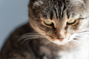 Similar image 21433893