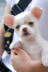 Similar image 21433894