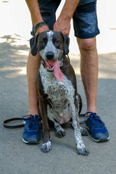 Similar image 21433895