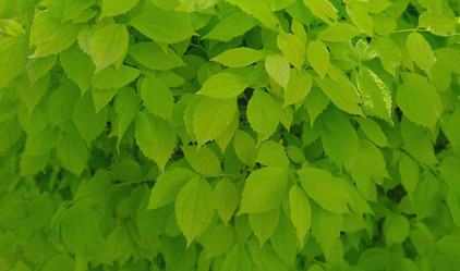 Similar image 21433897