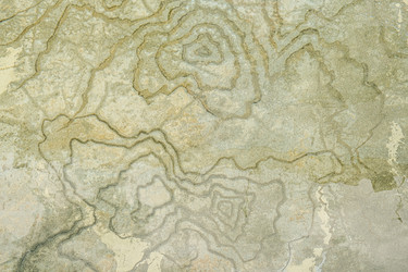 Similar image 21433898