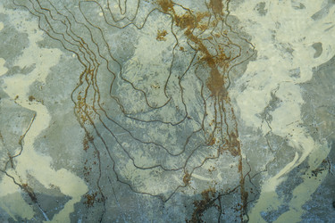 Similar image 21433899