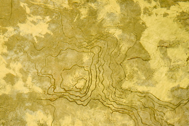 Similar image 21433901