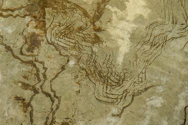 Similar image 21433902