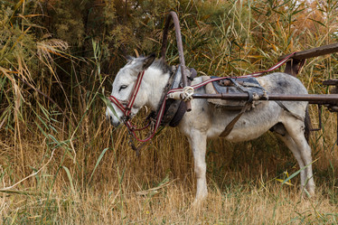 Similar image 21433443