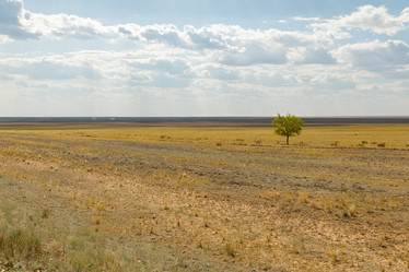 Similar image 21433447