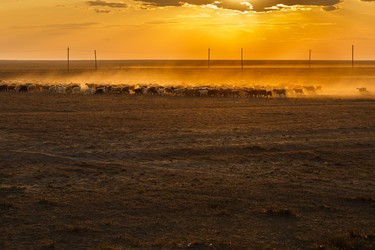 Similar image 21433640