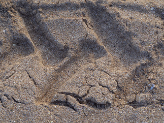 Similar image 21433652