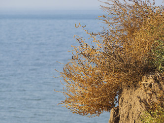 Similar image 21433653