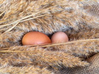 Similar image 21433655