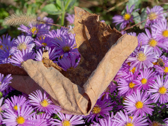 Similar image 21433659