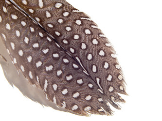 Similar image 21433662