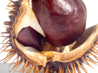 Similar image 21433663