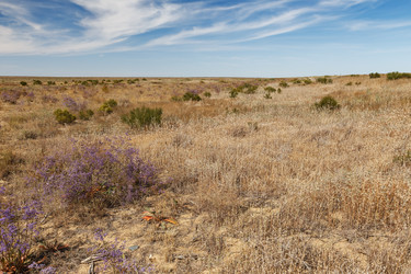 Similar image 21433674