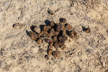 Similar image 21433678