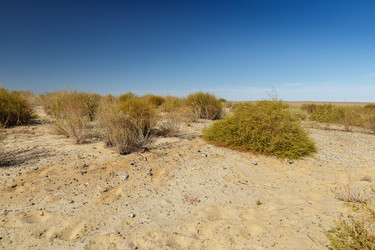 Similar image 21433680