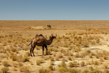 Similar image 21433684